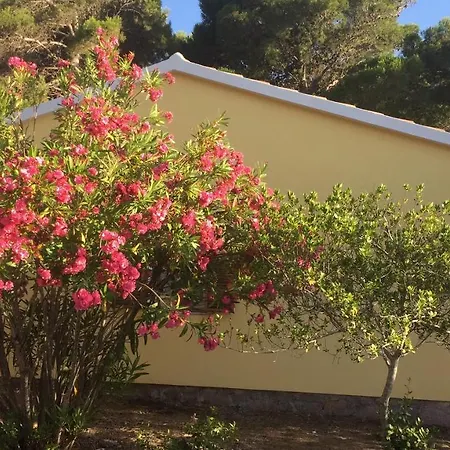 Nettuno House Holiday home Rena Majore