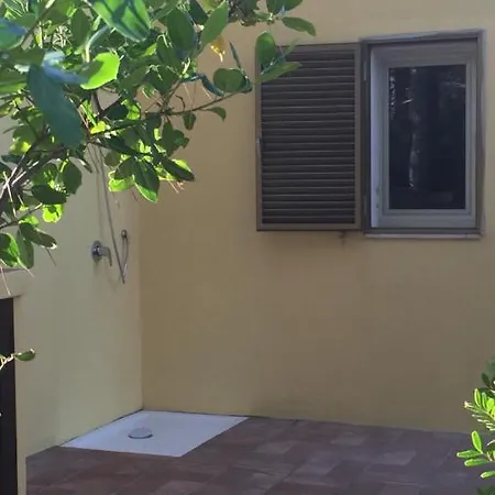 Nettuno House Holiday home *